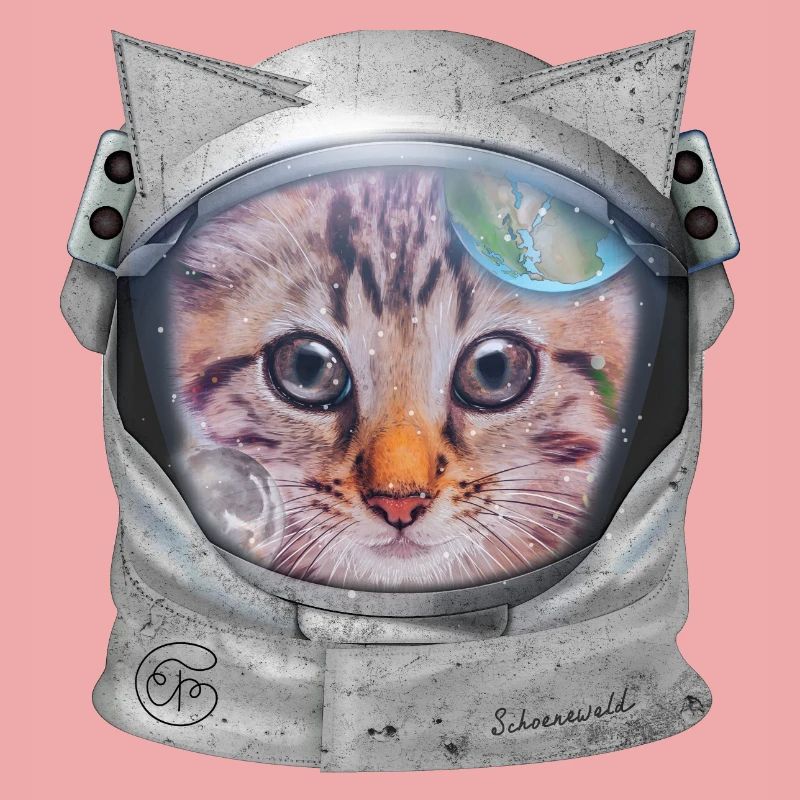 Chat dans l’espace
