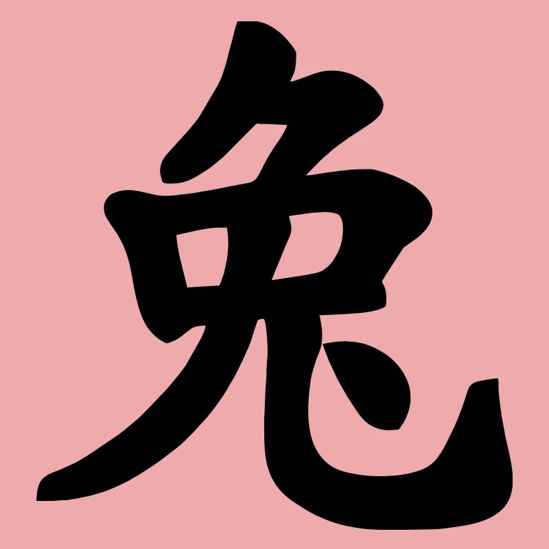 Chinese notebook rabbit shadow image
