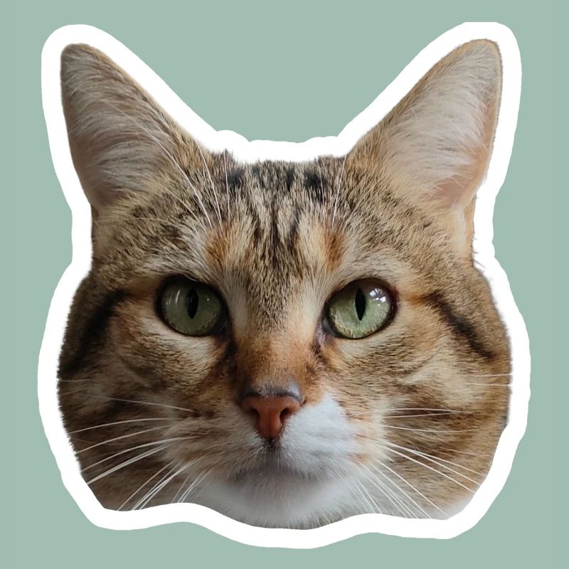 Sticker Missty
