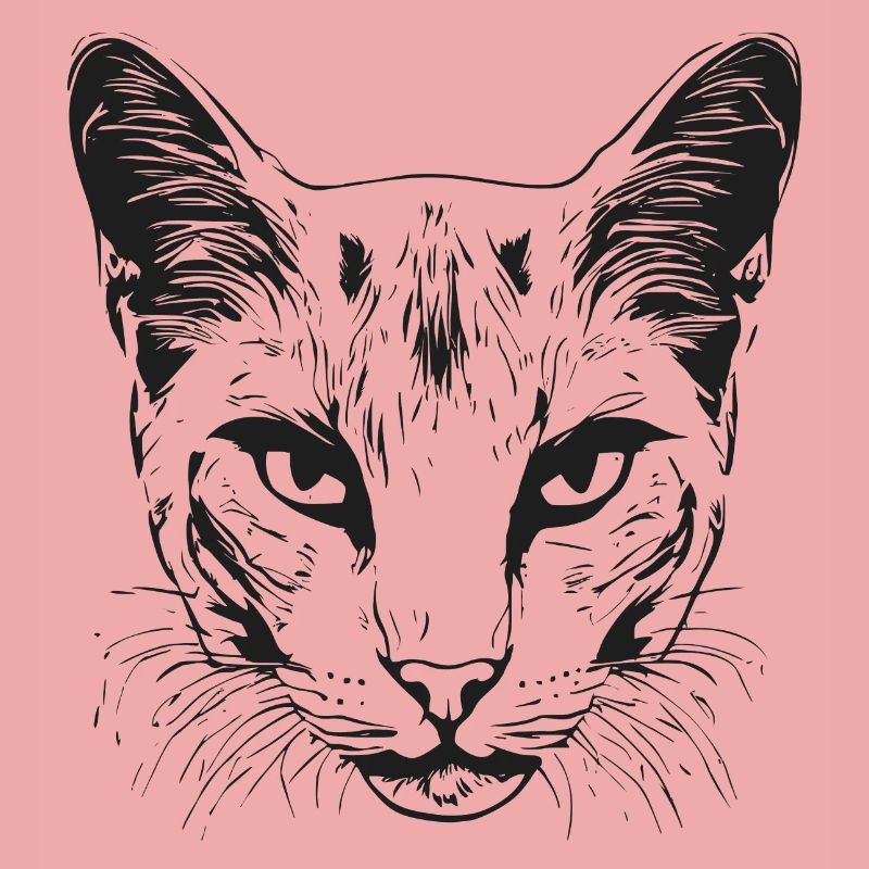 Chat 1
