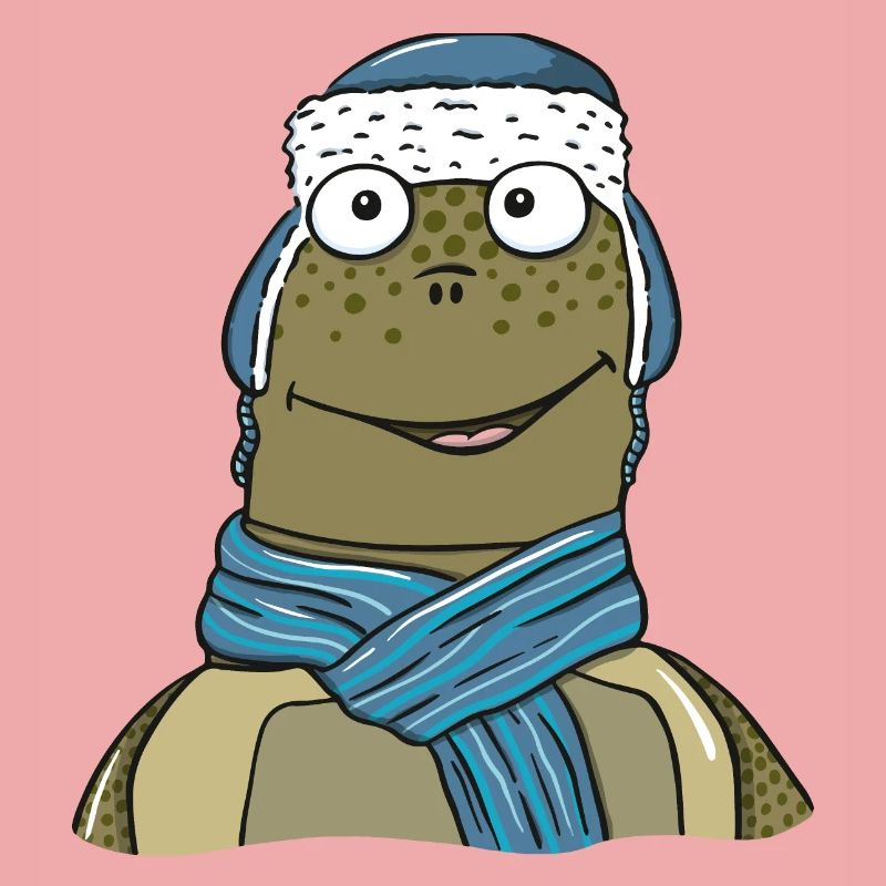 Turtle in winter