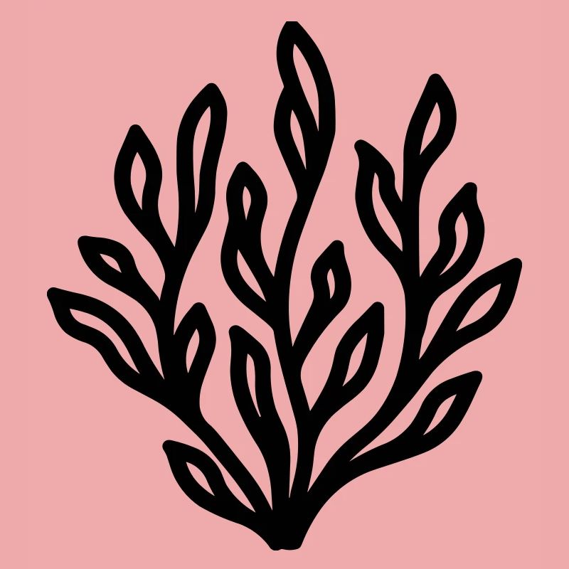algue