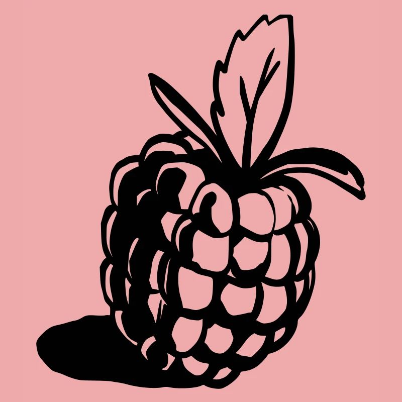 Himbeere Design klassisch