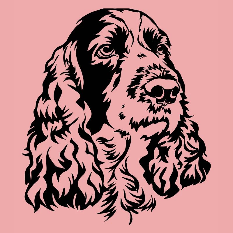 Englischer Springer Spaniel Kopf