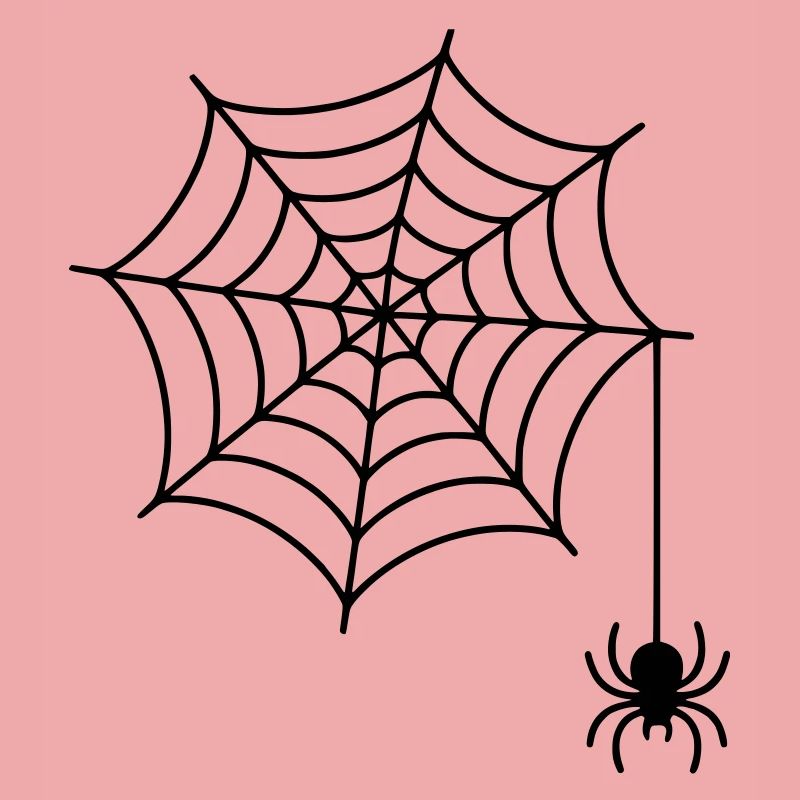 Spider web with spider silhouette
