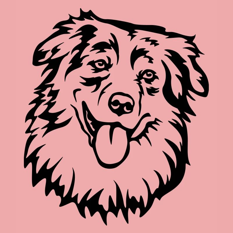 Australian Shepherd Head