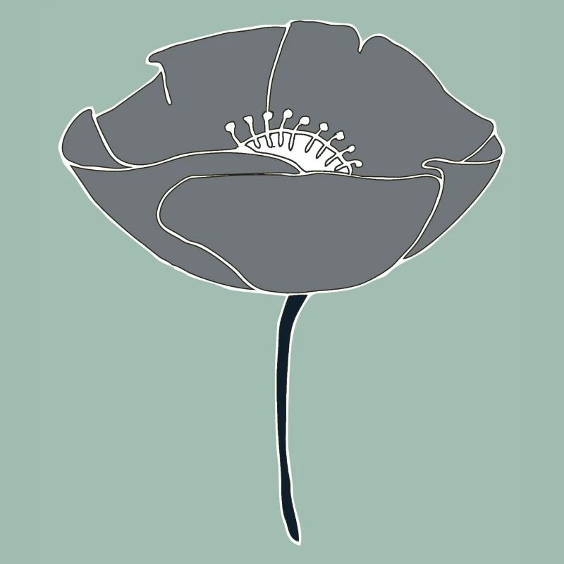 mohnblume grau