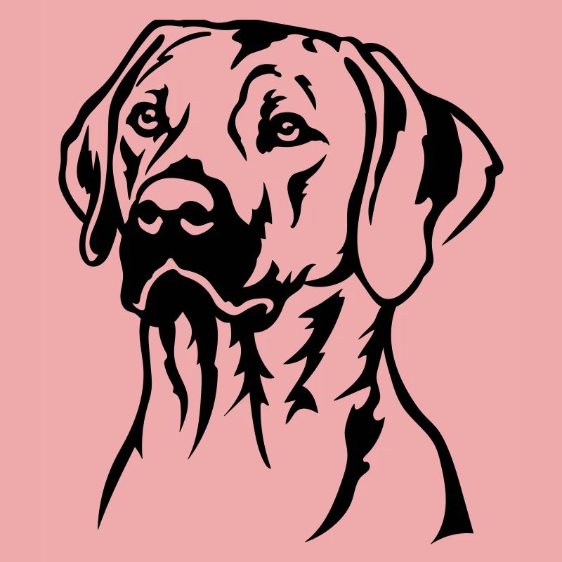 Rhodesian Ridgeback Kopf