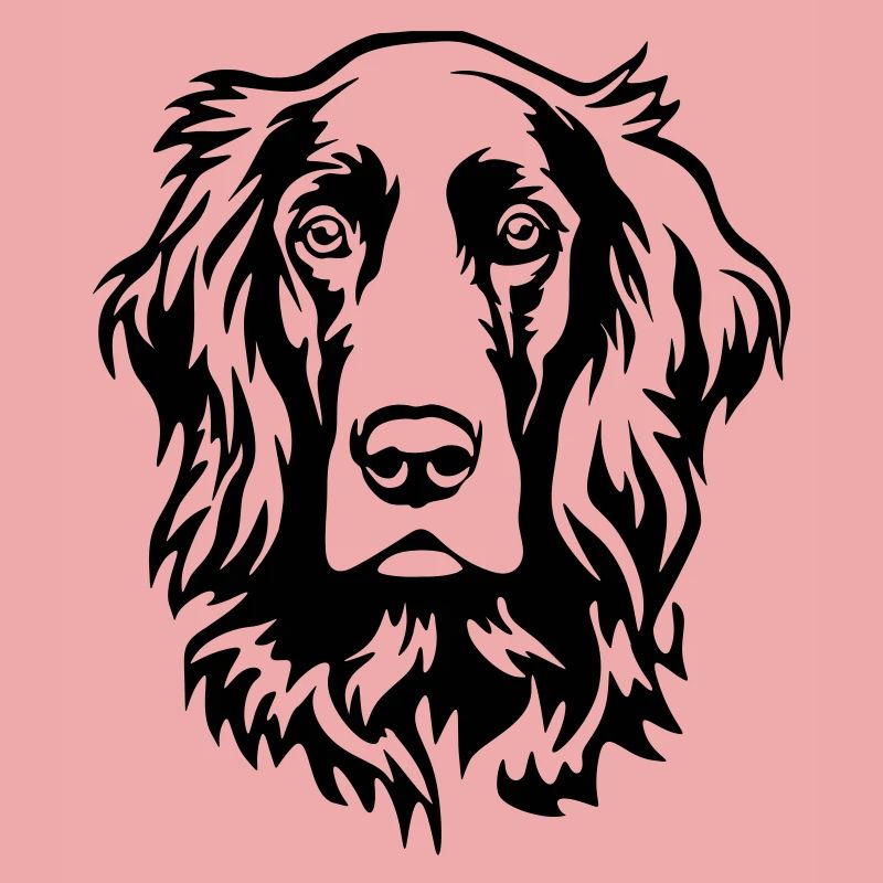 Irish Setter Head