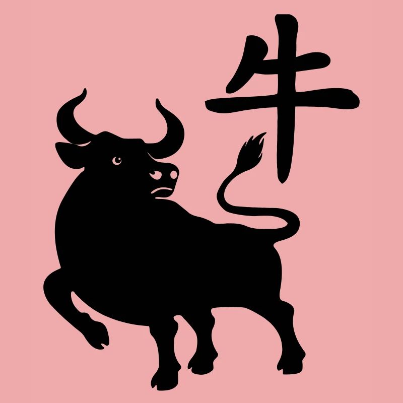 Caractère chinois OS avec image du système d’exploitation, ombre
