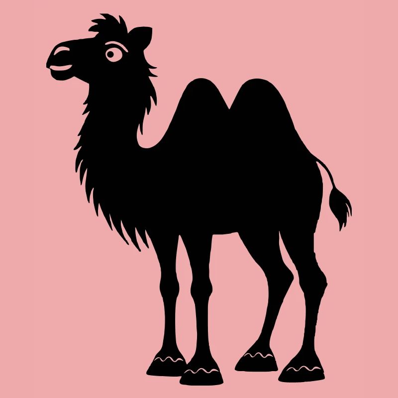 Schatten-Kamel