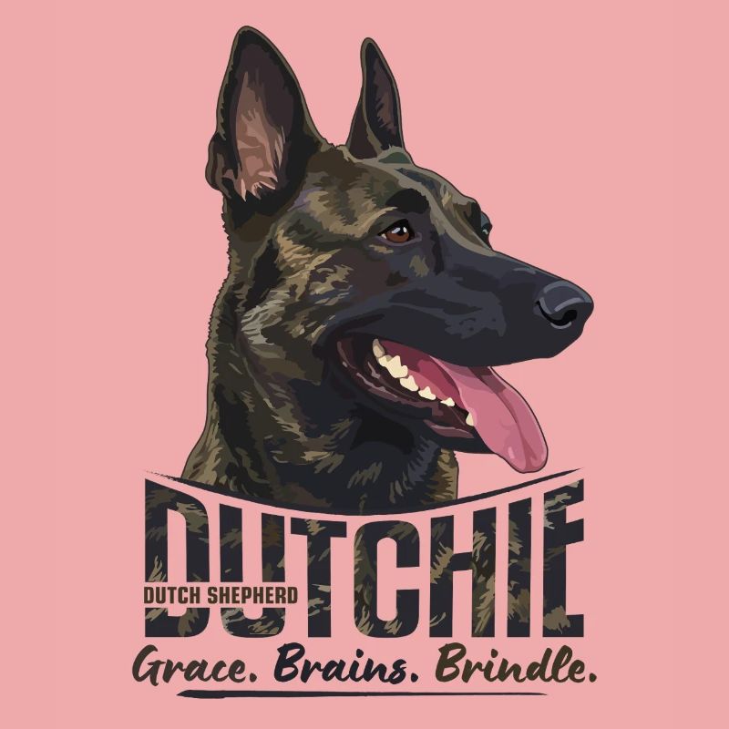 Dutchie - Holländischer Schäferhund