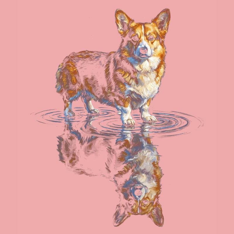 Water Reflex Corgi