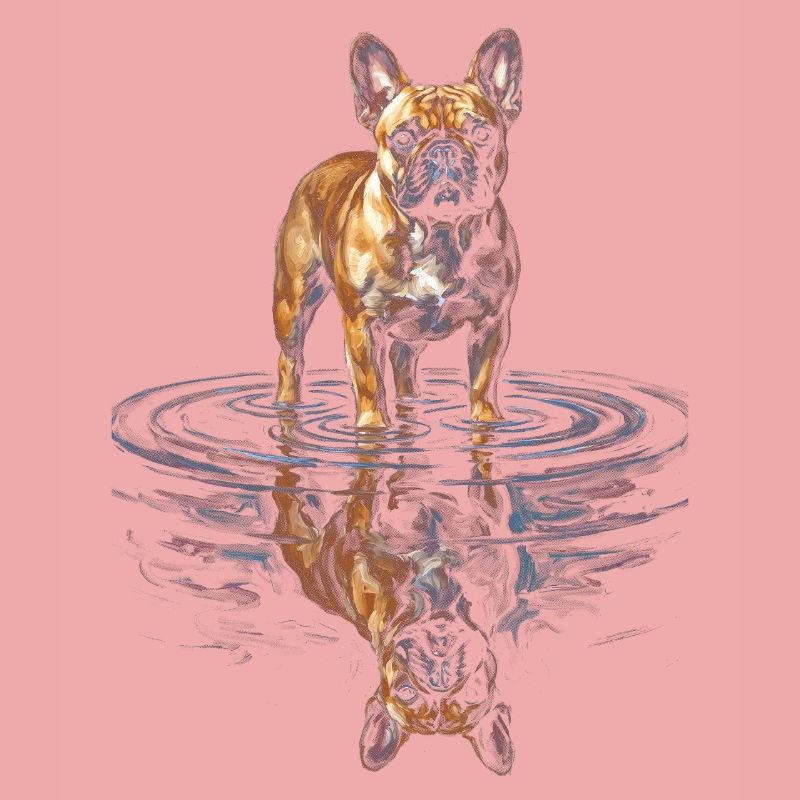Reflet de l’eau du bouledogue français