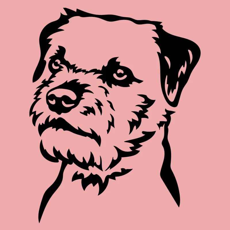 Border Terrier Kopf