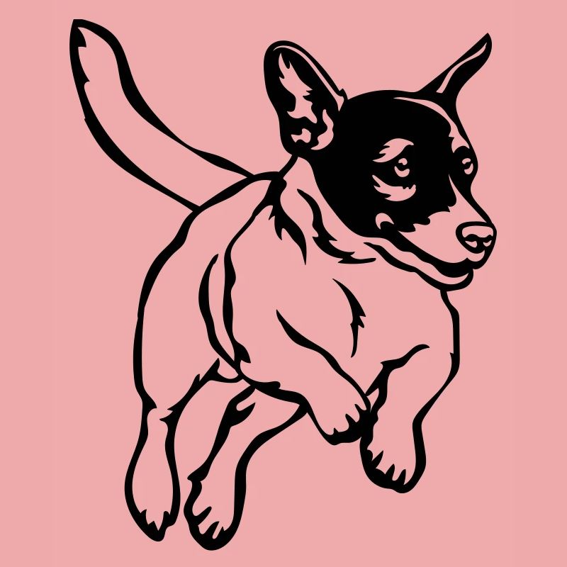 Jack Russell Terrier