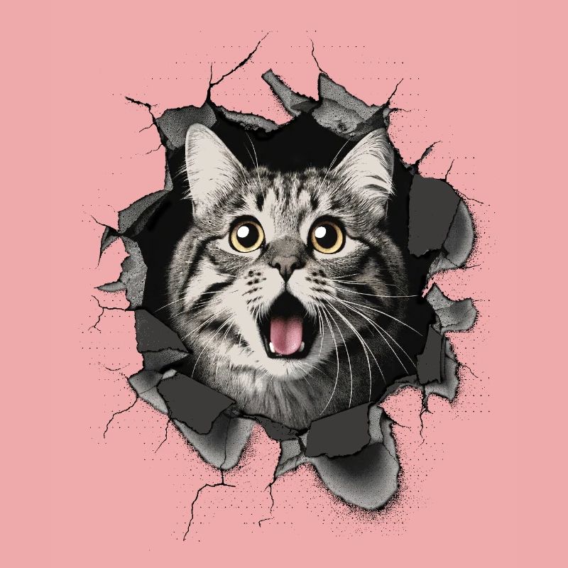 Katze erschrocken Mauer Durchbruch Risse 