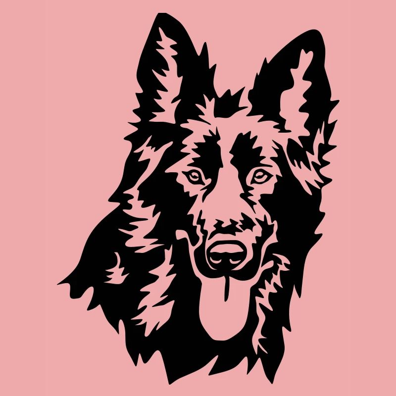 Deutscher Schäferhund Kopf