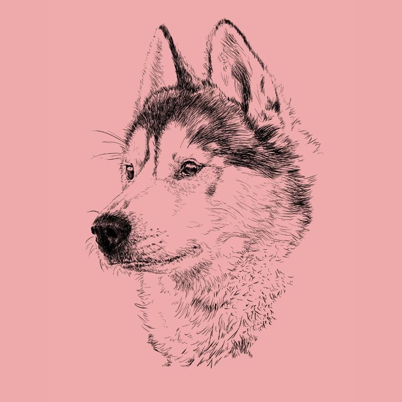Husky