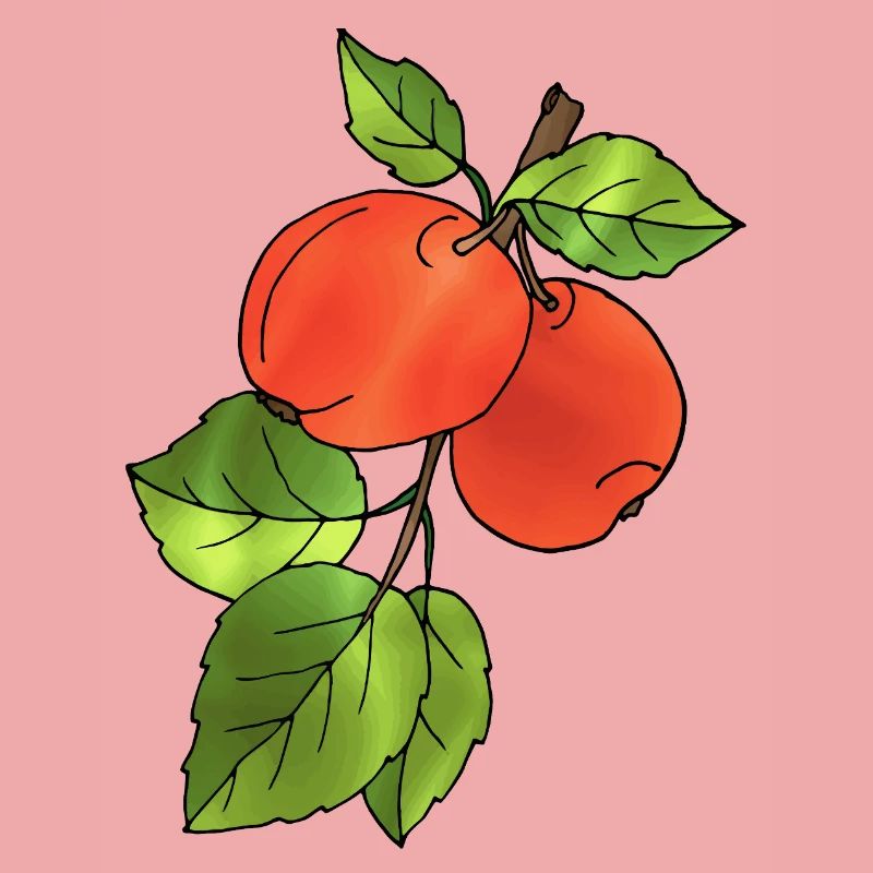 Äpfel