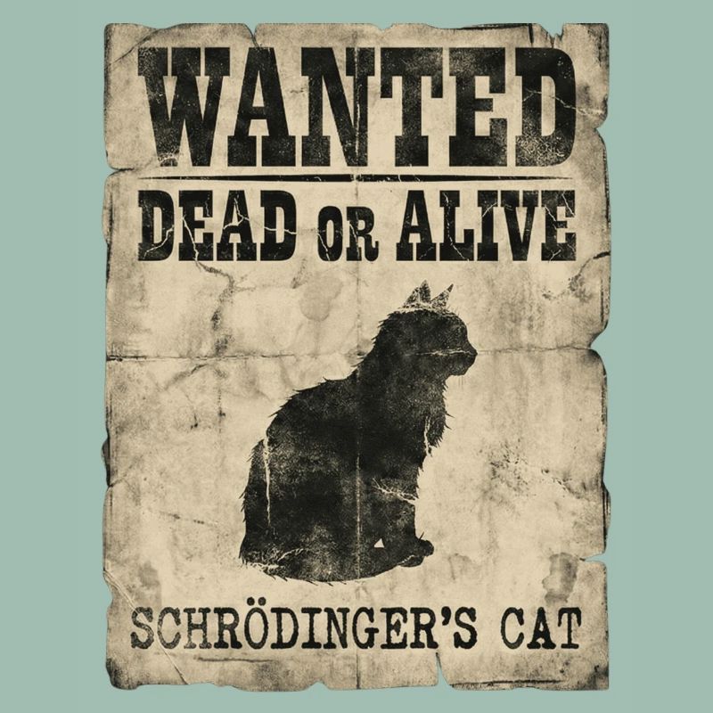 Schrödingers Katze gesucht Tot-oder-lebendig Physik-Wortspiel