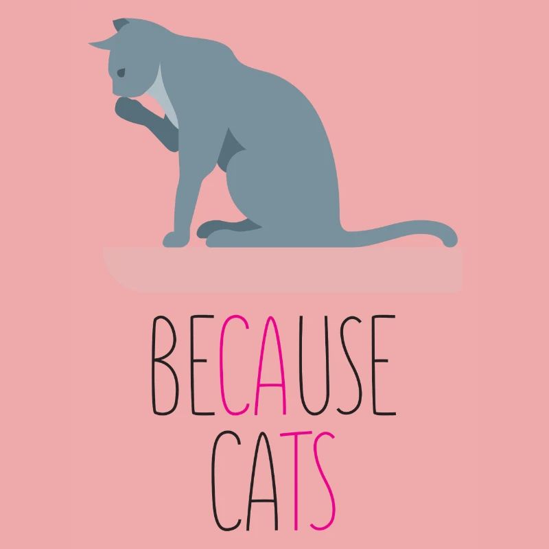 Weil Katzen