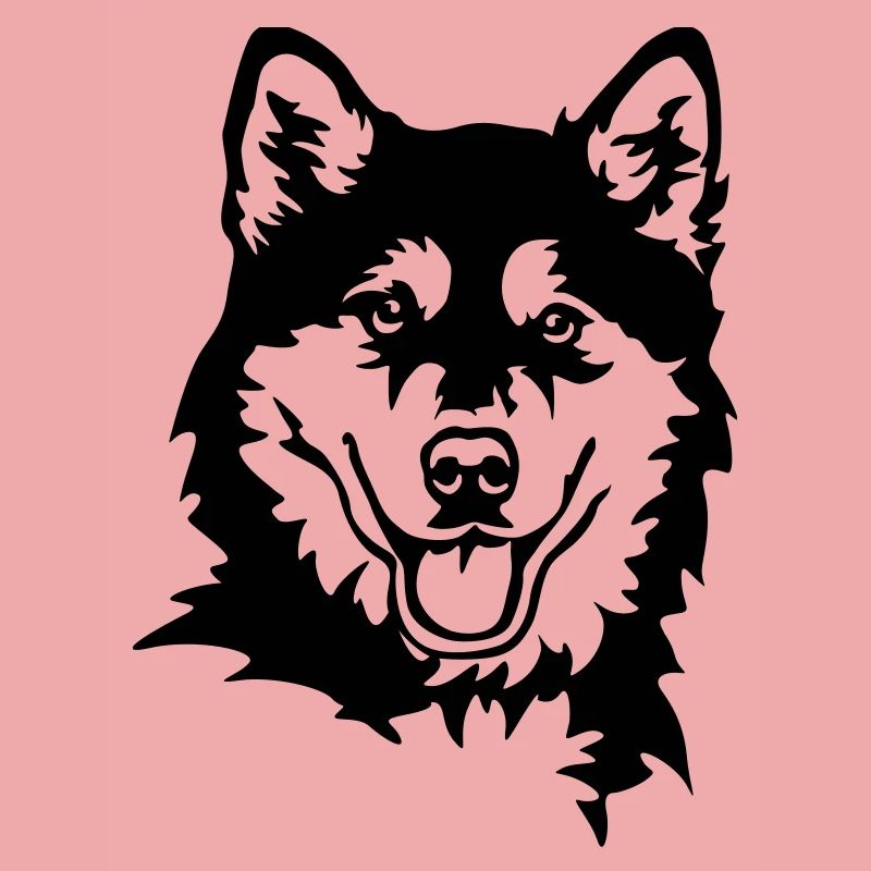 Alaskan Malamute Head