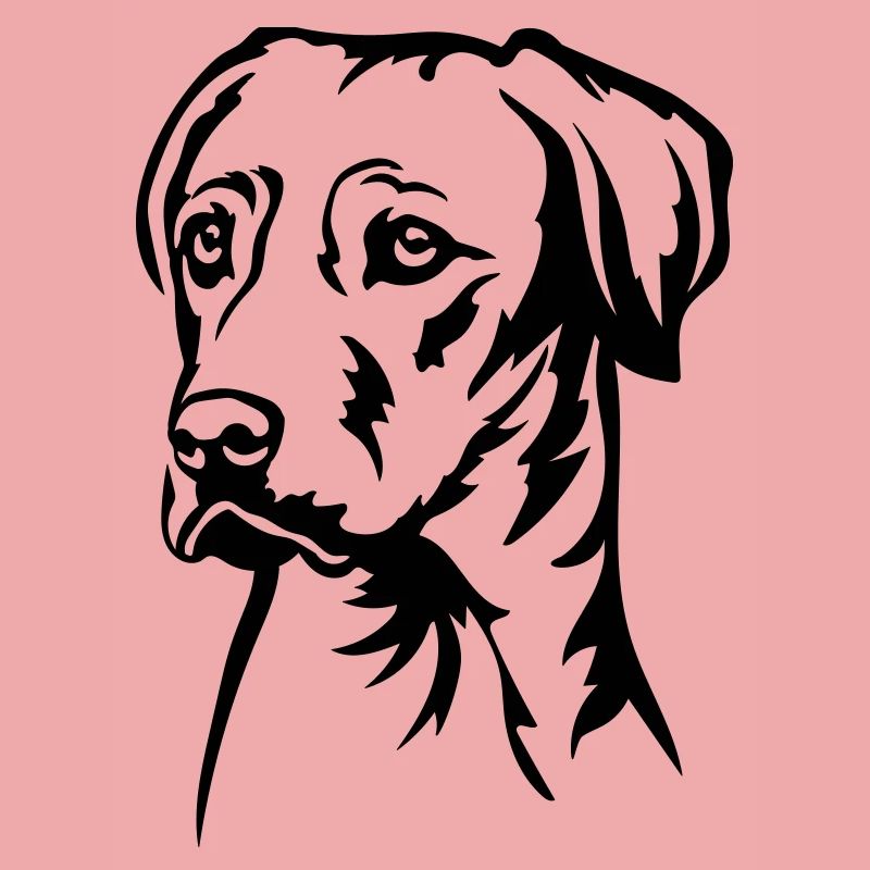 Rhodesian Ridgeback Kopf