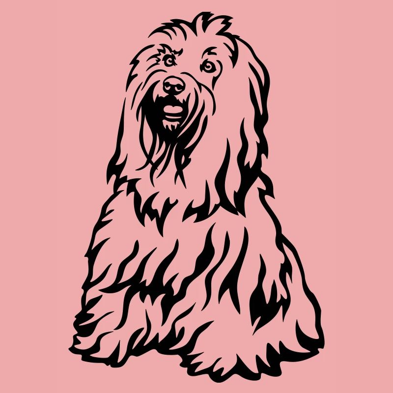 Tibet Terrier