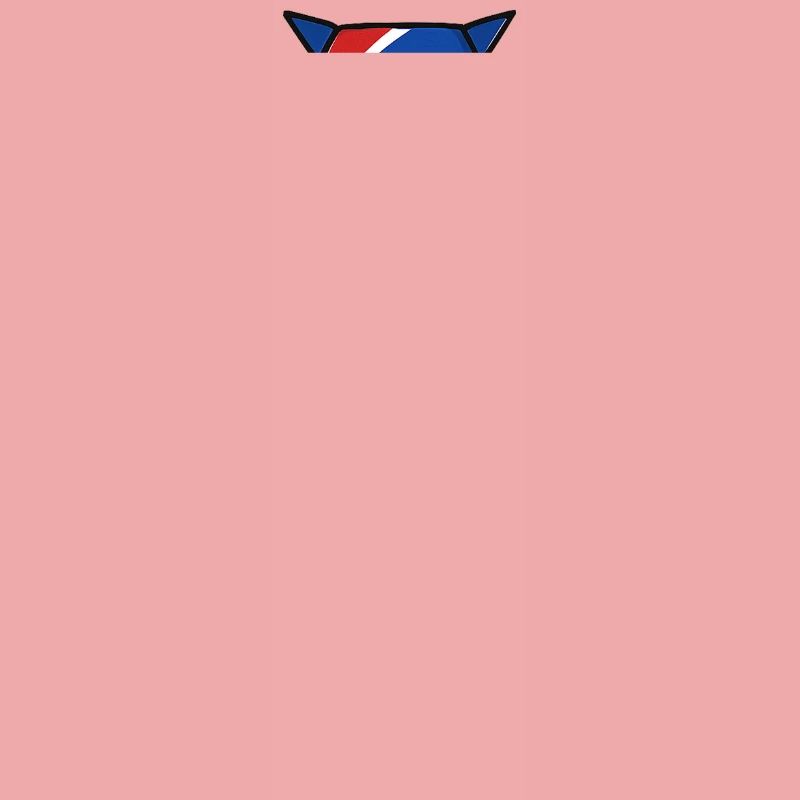 Cravate Corée du Nord – Conception du drapeau