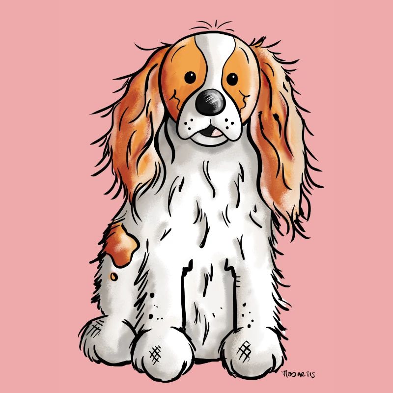 Cavalier King Charles Spaniel