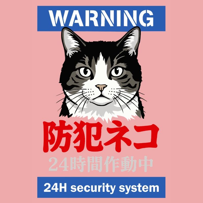 24h Security System