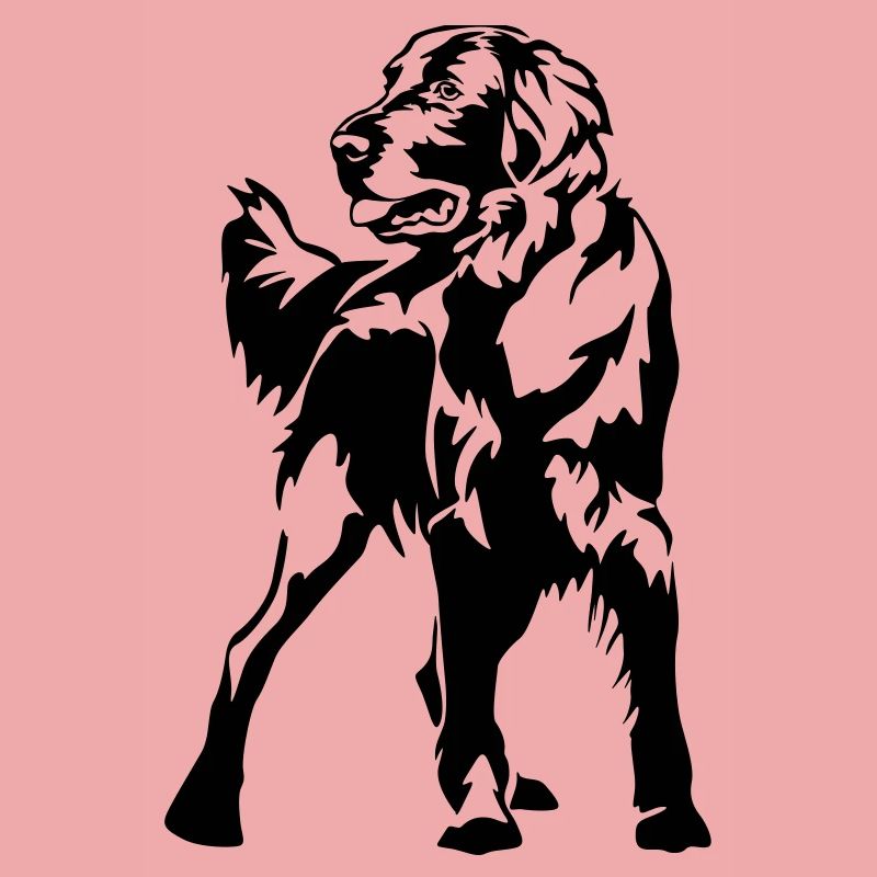 Flat-coated retriever