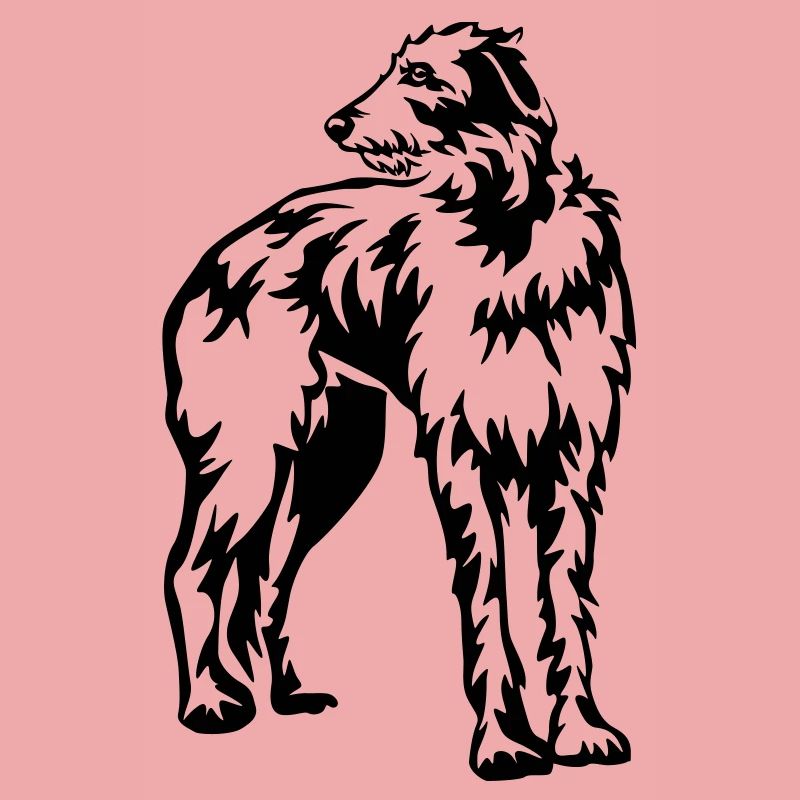 Deerhound écossais