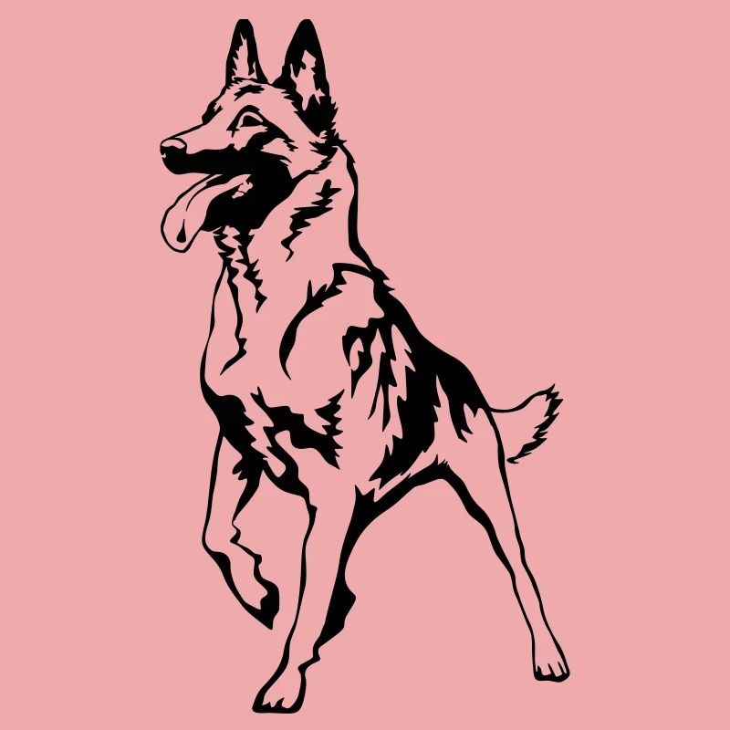 Malinois