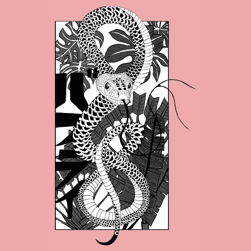 Serpent 2
