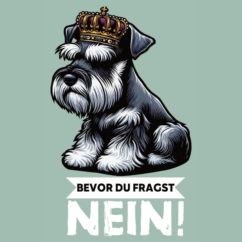 Avant que vous ne demandiez Pas de Schnauzer Géant