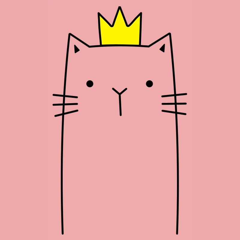 Chat avec cadeau prince princesse