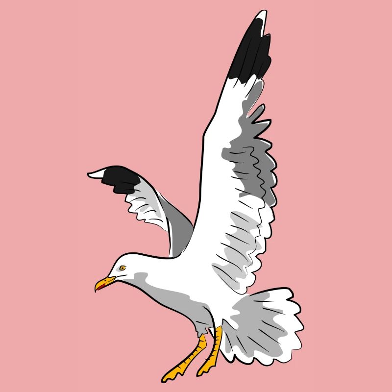 vogel möwe strand