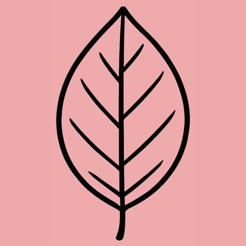 Conception minimaliste Leaf