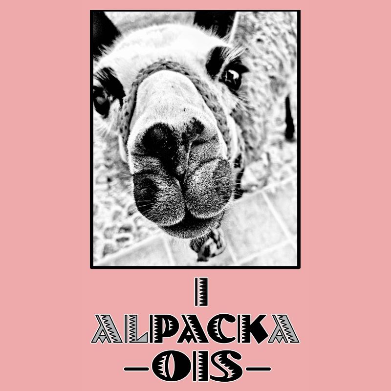 ALPACA - i pack ois - I can do everything - dialect