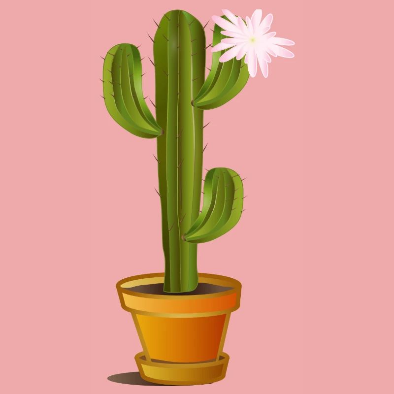 Cactus enchanteur dans un pot de fleurs avec fleur