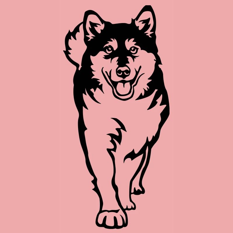 Alaskan Malamute