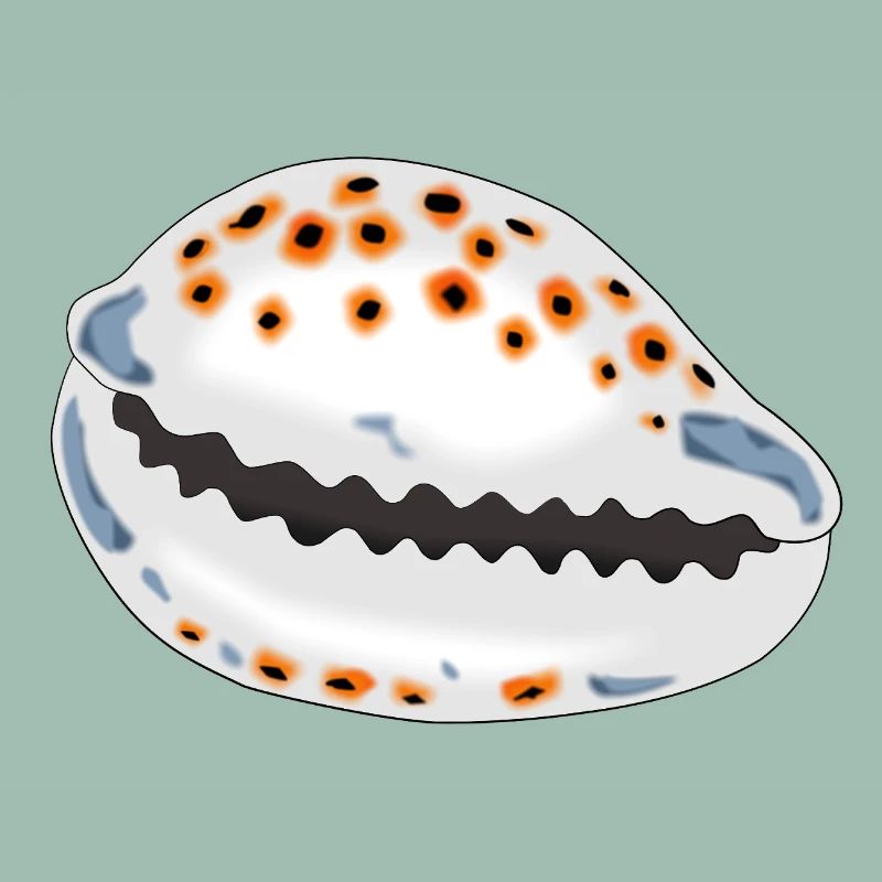 Coquille avec points