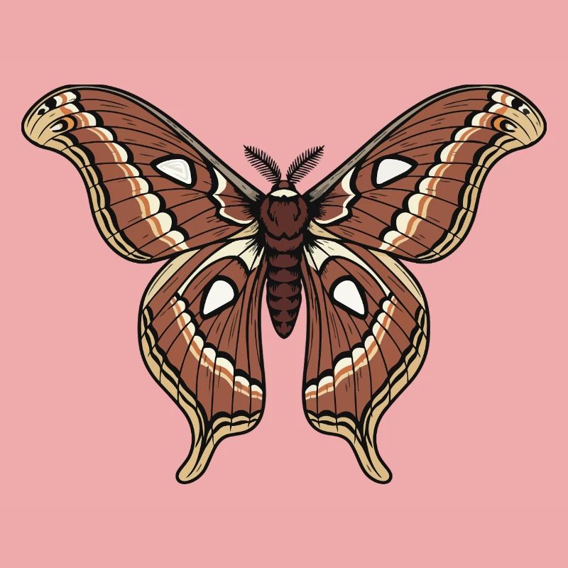 Papillon Polypheme Moth Saturnie Wing Tattoo