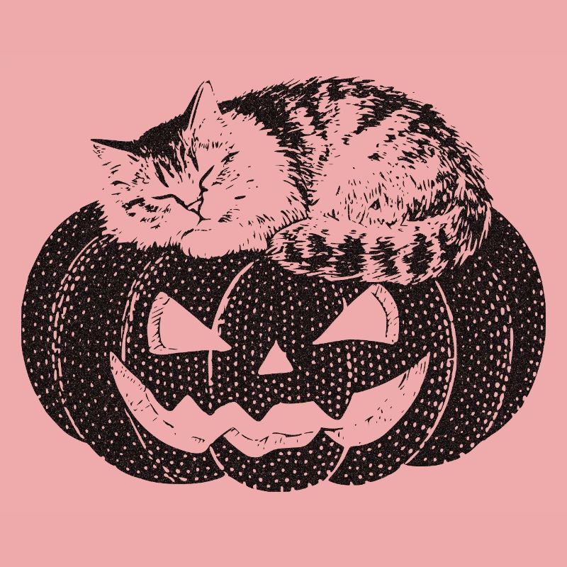 Cat sleeping on pumpkin