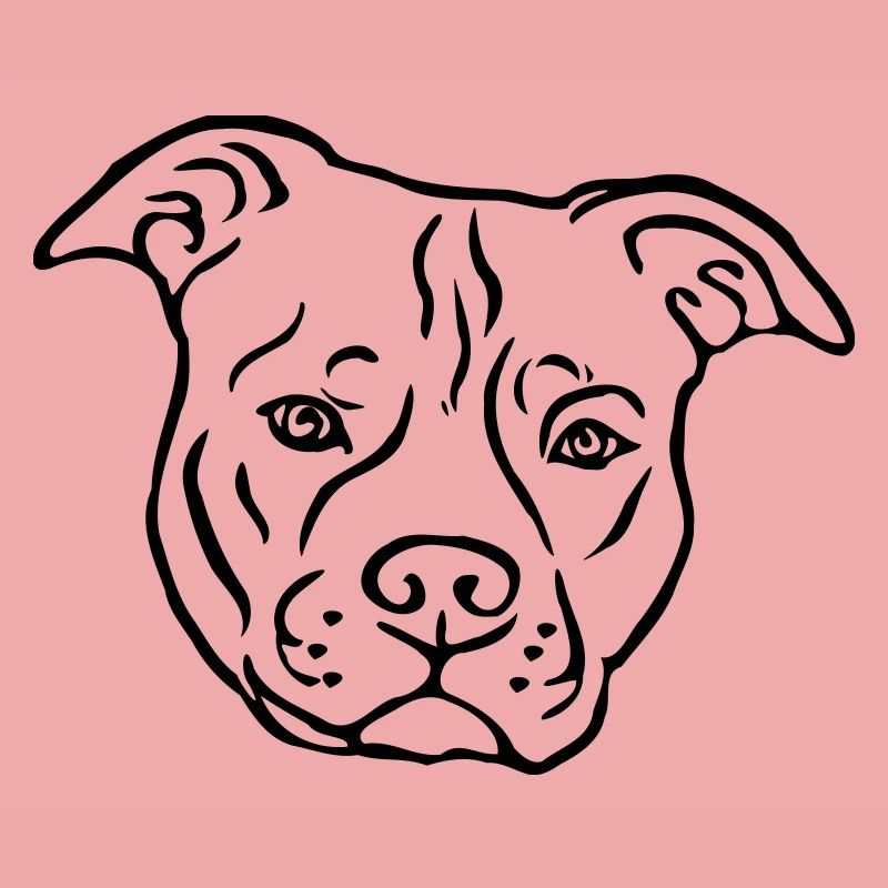 American Satffordshire Terrier Head