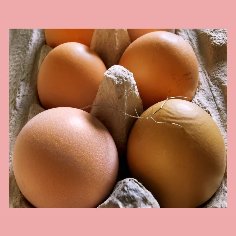 Eier