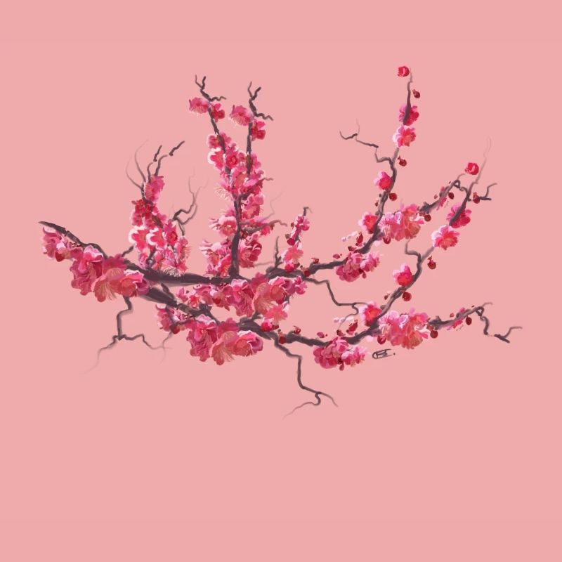 sakura