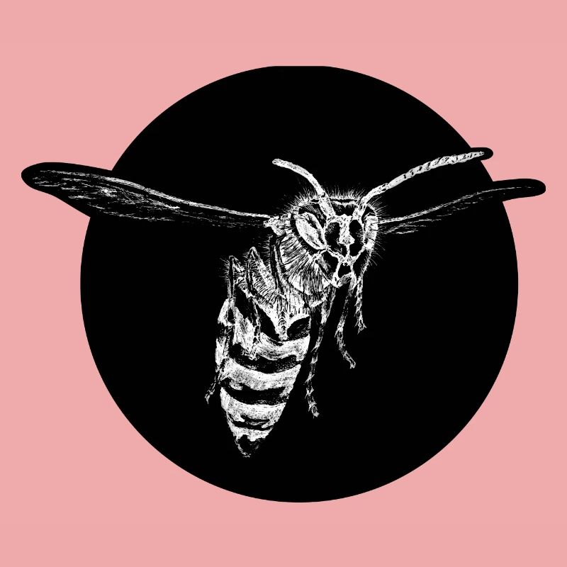 Guêpe - Abeille - Insecte